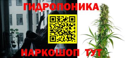 каннабис Аша