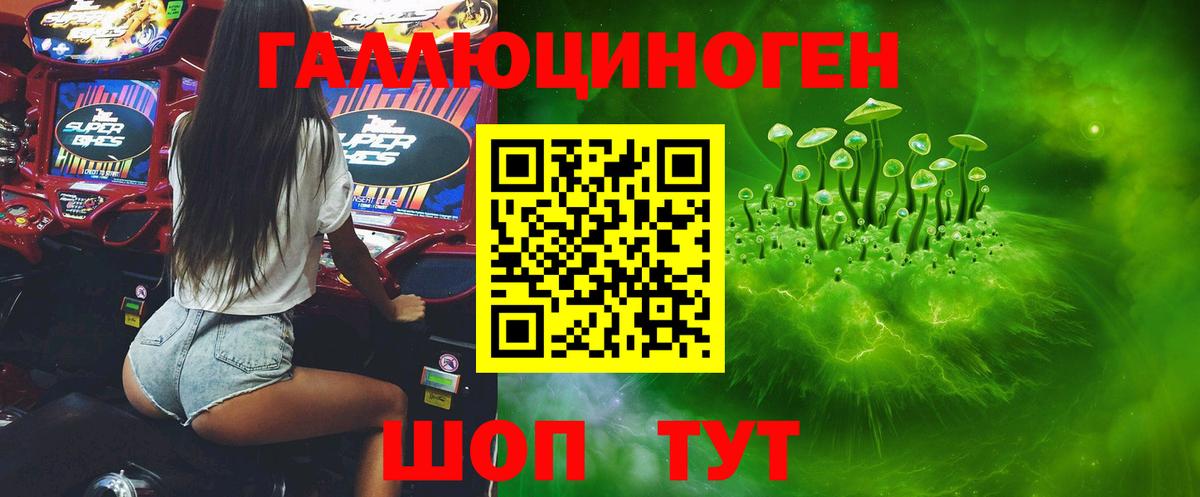 Гурьевск  Галлюциногенные грибы MAGIC MUSHROOMS  Вход с VPN 